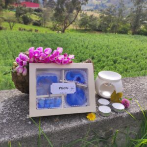 Kit wax melts PISCIS♓