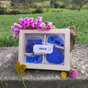 Wax melts PISCIS ♓