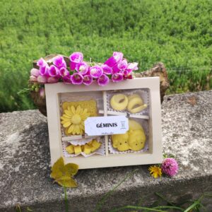 Wax melts GÉMINIS♊