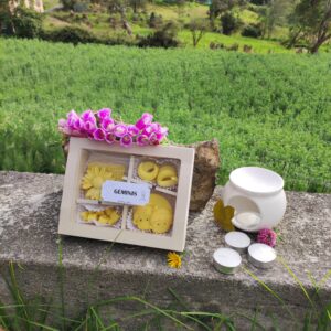 Kit wax melts GÉMINIS ♊