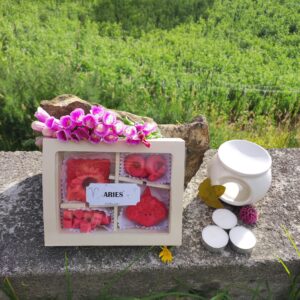 Kit wax melts ARIES ♈