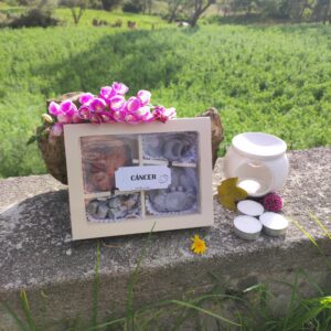 Kit wax melts CÁNCER  ♋