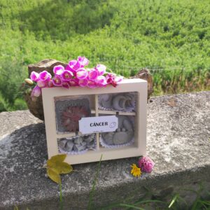 Wax melts CÁNCER♋