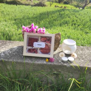 Kit wax melts VIRGO♍