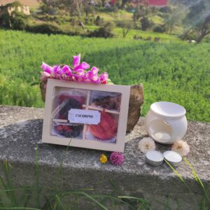 Kit wax melts ESCORPIO♏