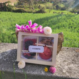 Wax melts ESCORPIO ♏