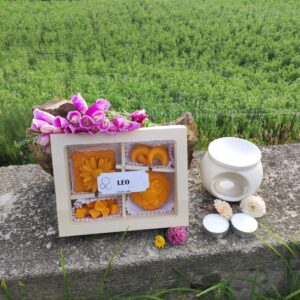 Kit wax melts LEO ♌
