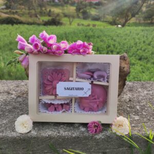 Wax melts SAGITARIO ♐